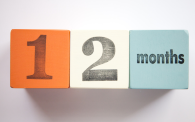 Sponsor an incubator for 12 months