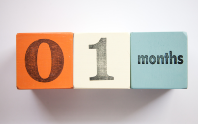 Sponsor an Incubator for 1 month