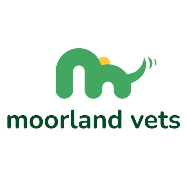 436410510_122129032112224816_5986510883045314568_n